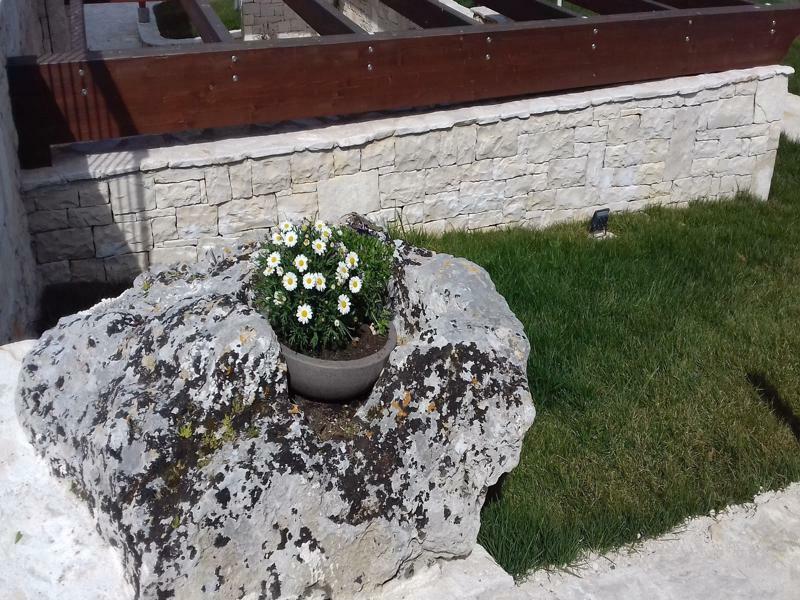 Agriturismo Nonna Rosa Matera Exterior foto